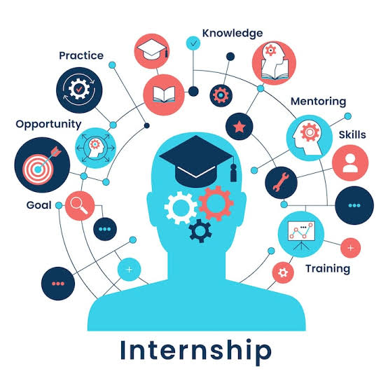 Special Internship Course 